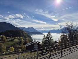 IMAGE 2024-11-24 18_43_19.jpg